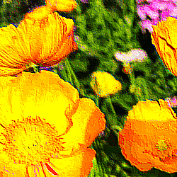 A saturated gif of flowers.